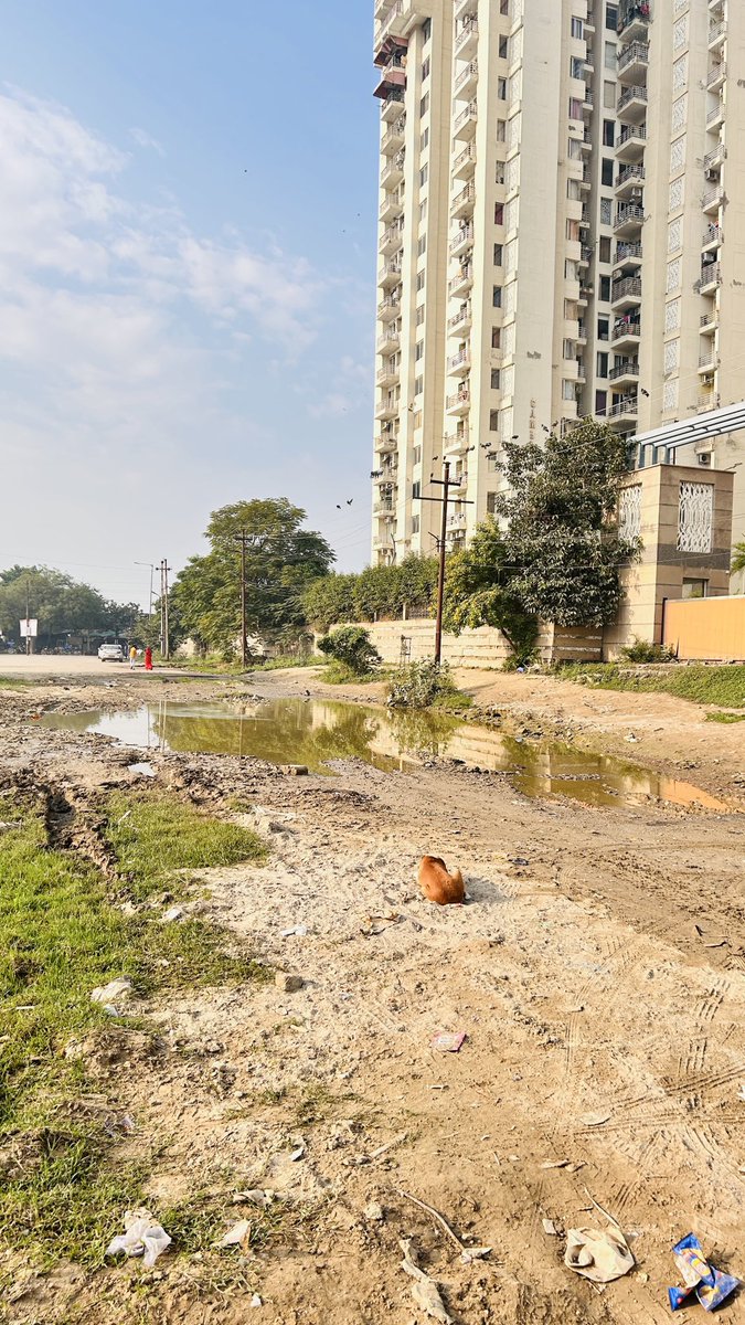 Xaviers 168 Residents tweet media