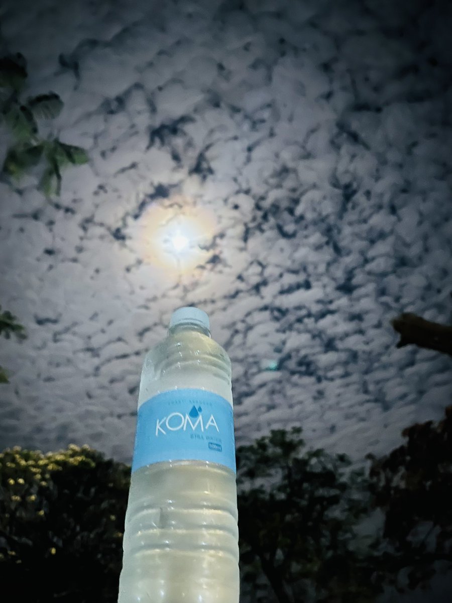 Big Bend last night😍.

#tini