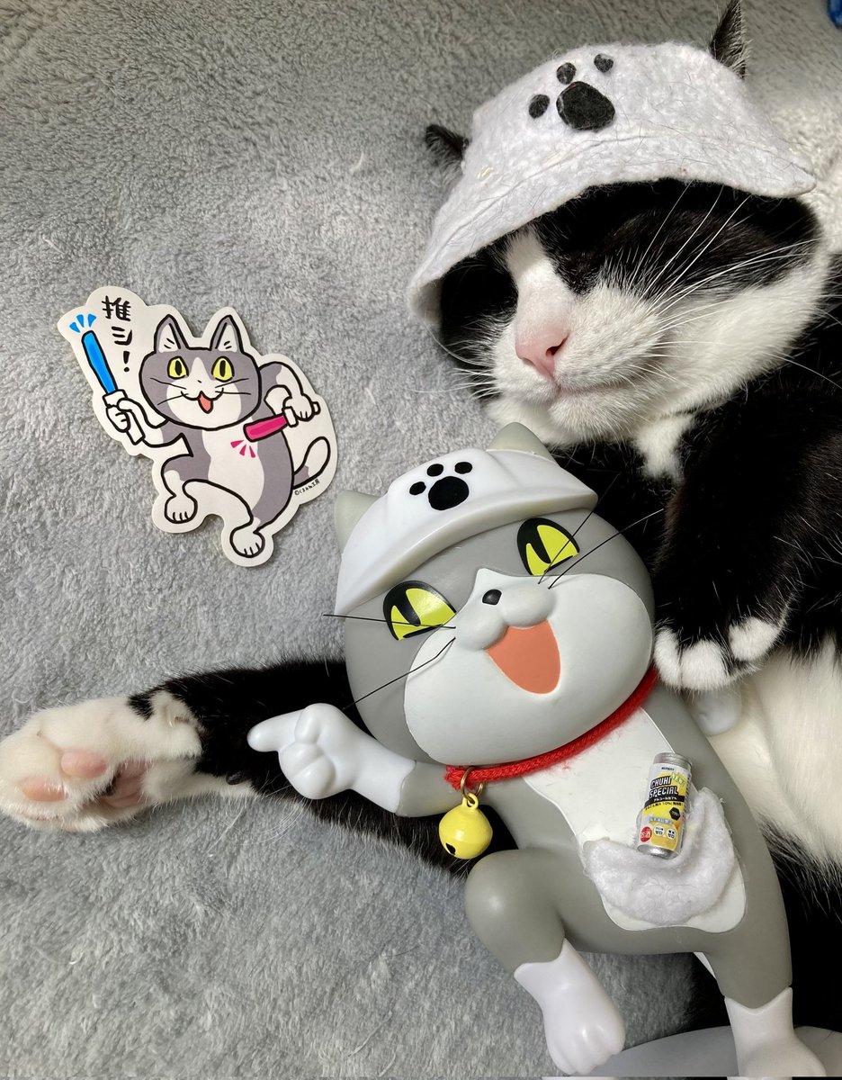 猫さん メルワキ on X