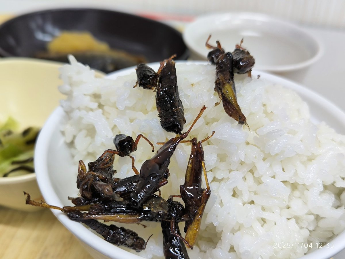 今日のひるめしもバッタ