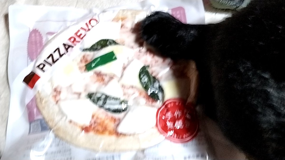 くまもんページ くまモン841号♪ on X