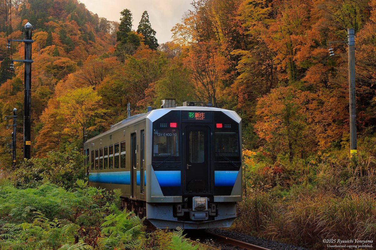 小春日和 adidas ZX 8000 