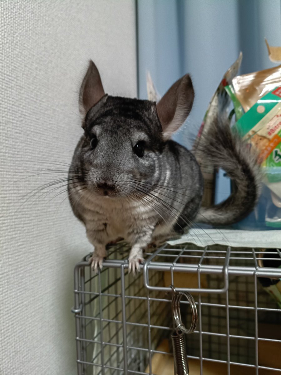 ぴーち (@Yk8yGz) / Posts / X