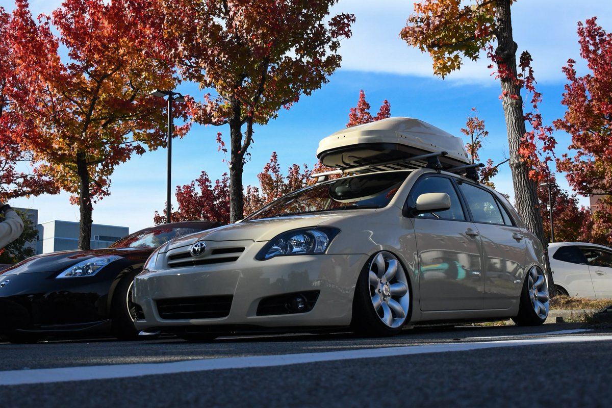 maru_5005's tweet image. #fixwell
@fenderist_jp