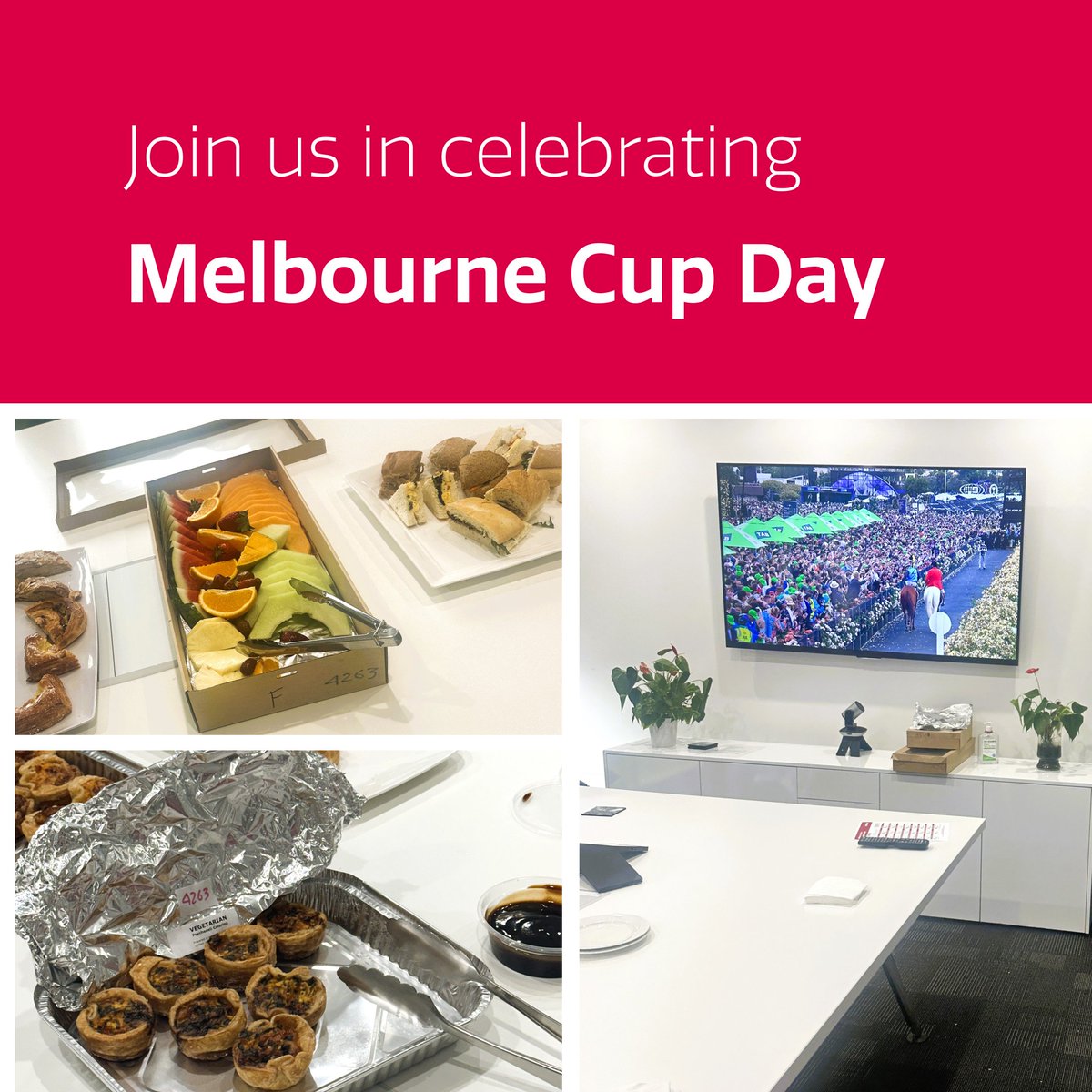 F1Solutions_AUS's tweet photo. Happy Melbourne Cup Day! 🏇 

The race that stops the nation also brings our team together! 

We celebrated in our Canberra office with a friendly sweep, a delicious afternoon tea, and plenty of laughs. 

#MelbourneCup #F1Solutions https://t.co/9RUxypvscf