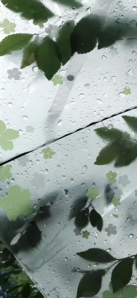 Oui.house tweet media