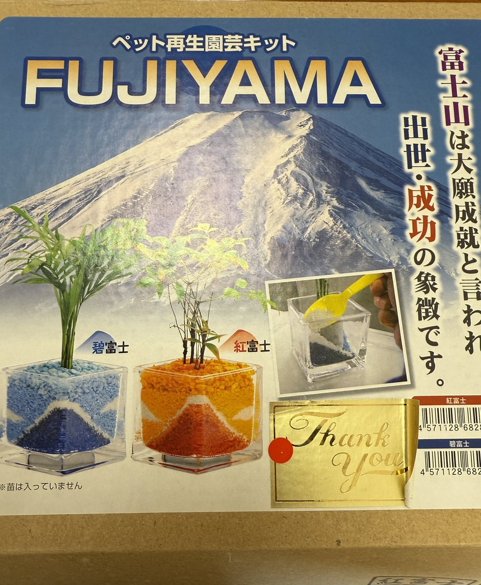昨日の和太鼓Festaの出店ブースでくじを引いたらハイドロカルチャーのキットが当たったので、会派室のパキラで作ってみました！(ピントが合っておりませんが😅)