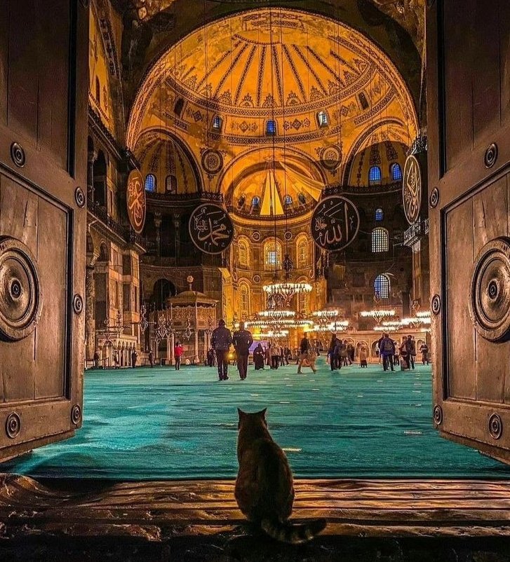 Sayısız kapın var.
Hayırlısını aç Allah'ım.