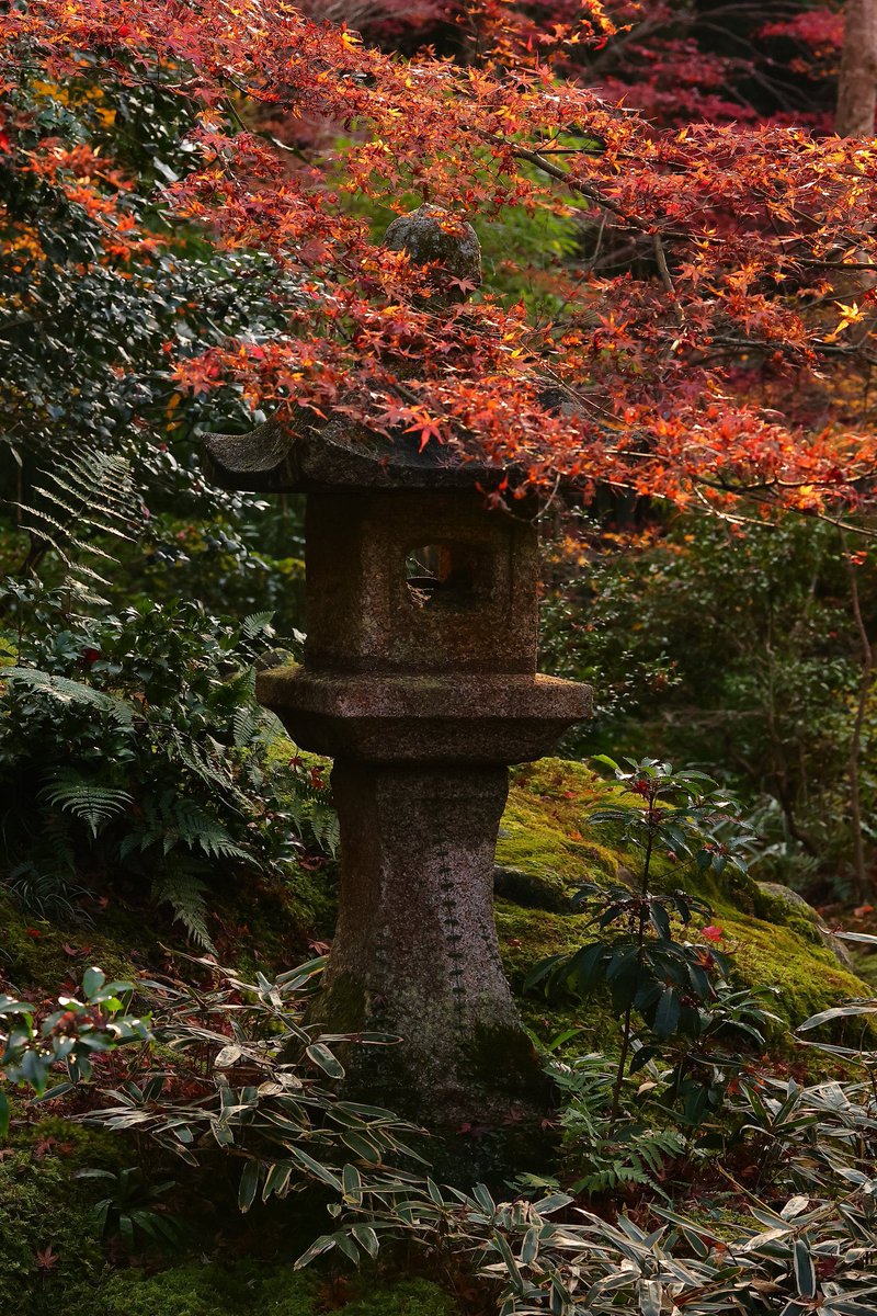ゆうニャン CHINESE DRAGON ART Antiqued 5 Oz Silver Coin $10 Niue 2024