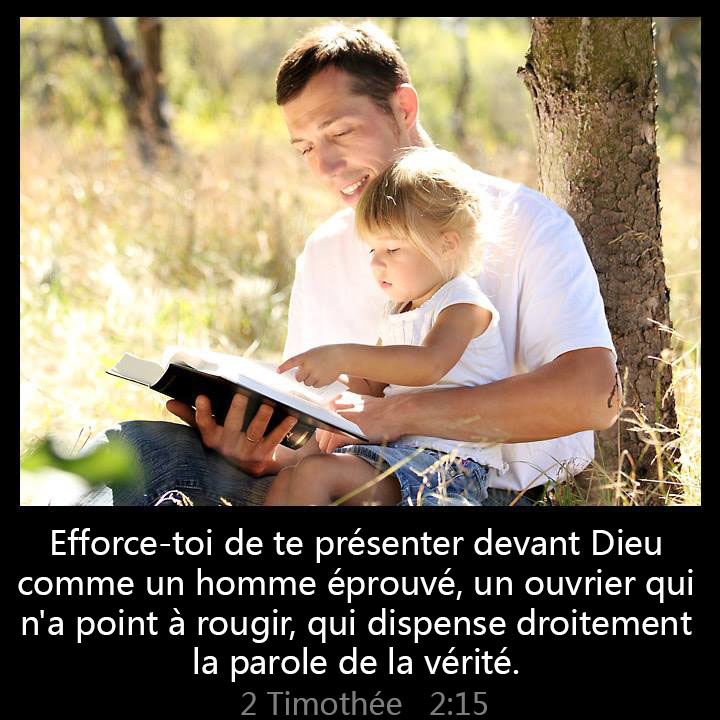 Study to shew thyself approved unto God, a workman that needeth not to be ashamed, rightly dividing the word of truth.