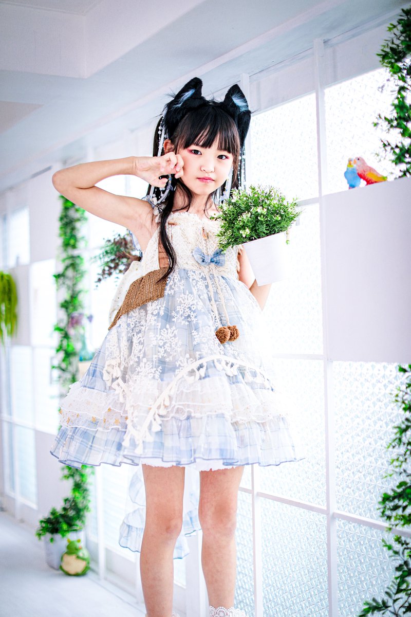 みおページ 🌲みおパッパ (@miopapa_mio_mio) / Posts / X