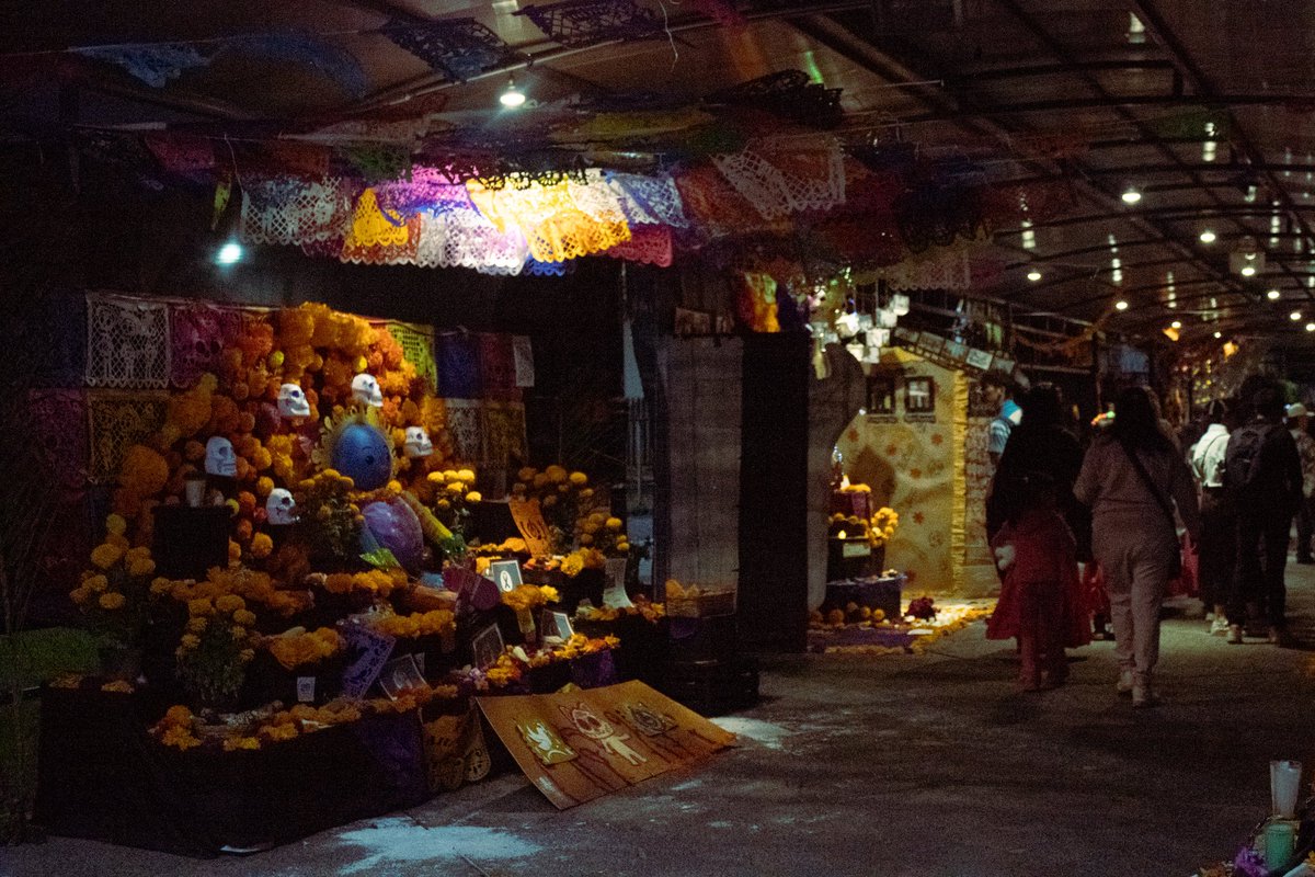 Bajo la luz de los muertos

"(...) Recordarlos es también cuidarnos, afirmar que seguimos siendo comunidad, incluso en el duelo.”😞

✍🏽: Ana Acevedo Molina
🏫: <a href="/FESAragonUNAM/">FES Aragón UNAM</a> 

Lee este texto de actualidad 🧡: puedjs.unam.mx/goooya/bajo-la…