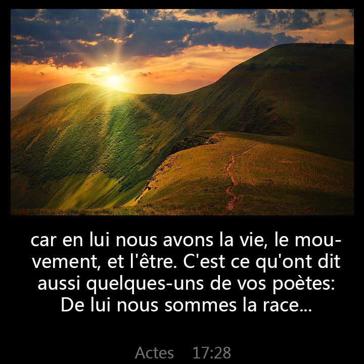 For in him we live, and move, and have our being; as certain also of your own poets have said, For we are also his offspring.