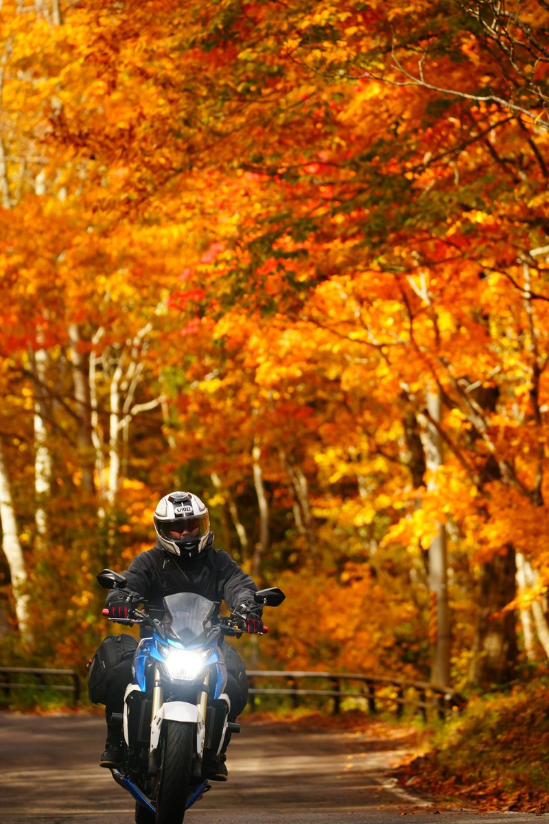 まさくん@ZX-14R (@ZX14R13) / Posts / X