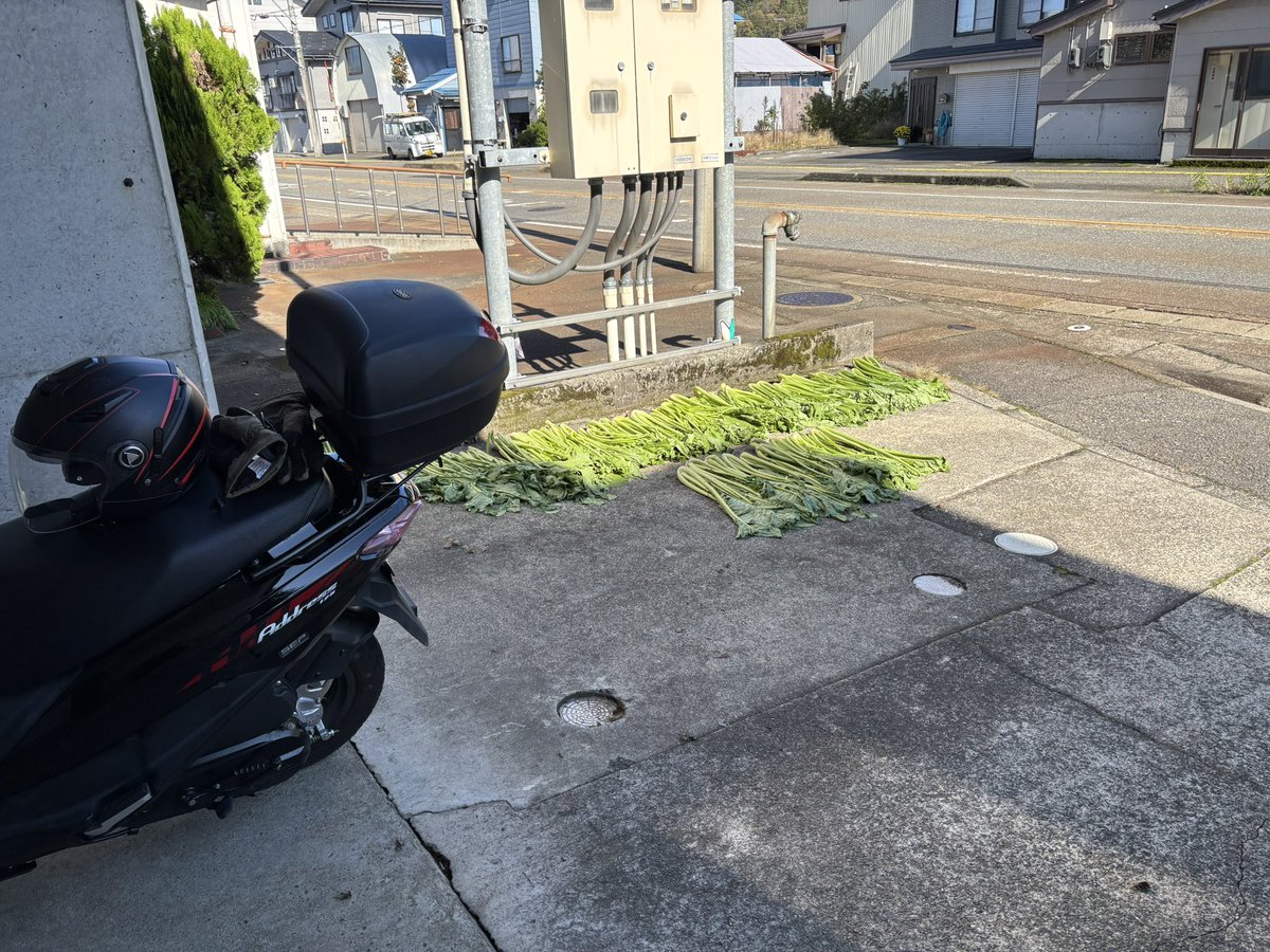 けいけい (@keikeifactory) / Posts / X