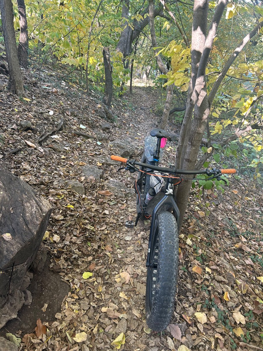 OneEyedz's tweet photo. Finally got out of the apartment for a little spin on the #fatbike
#MondaysOff https://t.co/GX6S7FCLGF