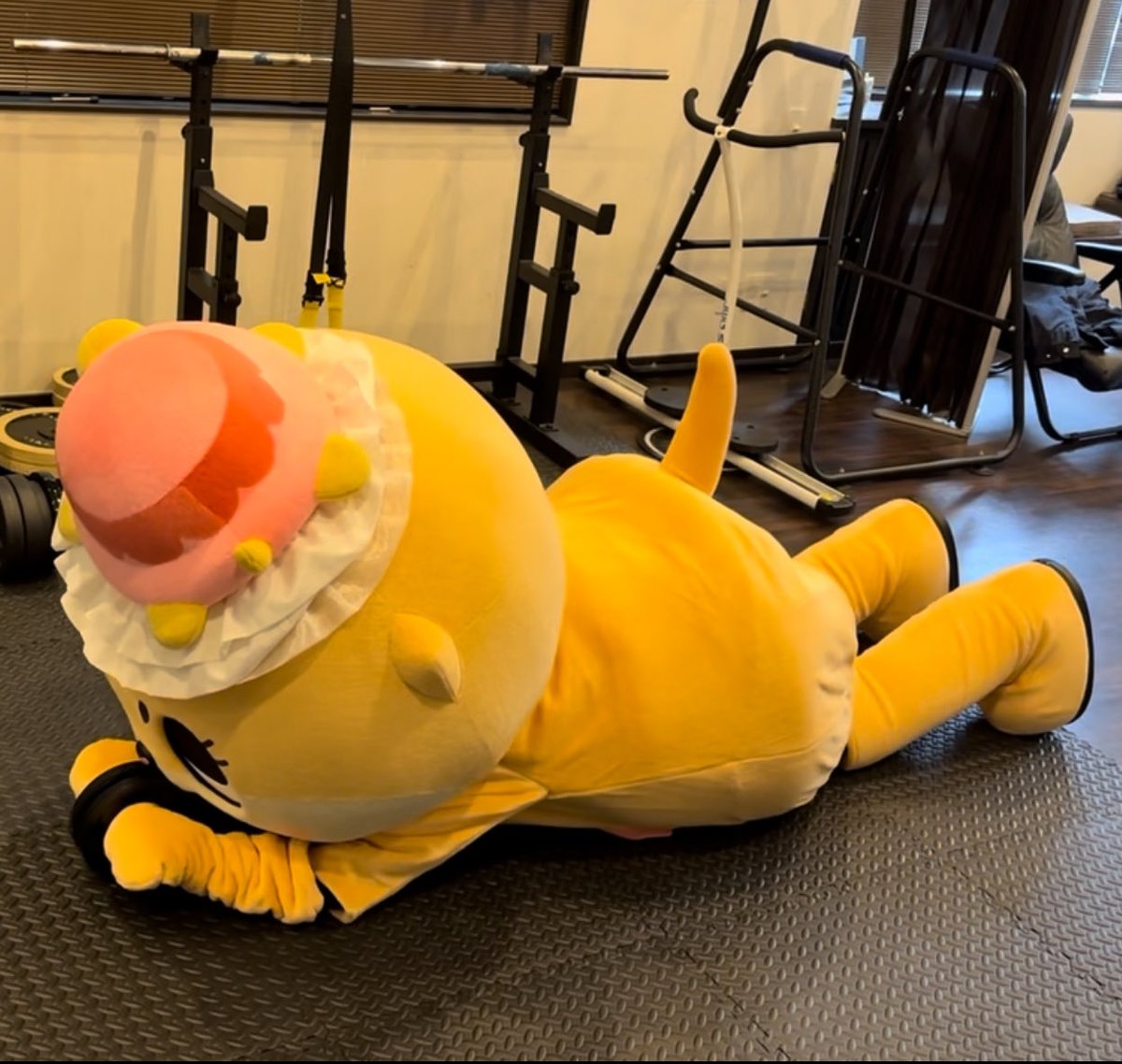 ちーたん専用です´◡͐` 公式：ちぃたん☆広島 on X