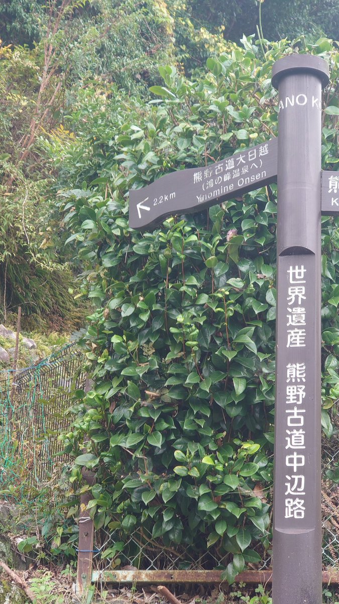atokiikota's tweet photo. それでは超えて行きたいと思います
どのくらいかかるのか‥不安😨 https://t.co/zZPVLscMIU