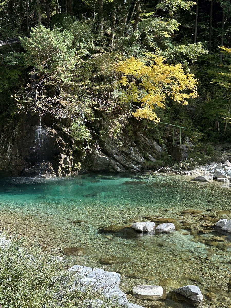 笑顔になれる癒しのエナジーDIVINE (@8f8aNca) / Posts / X