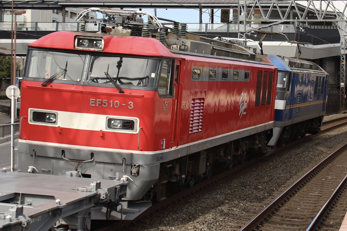 西のカモレ on X