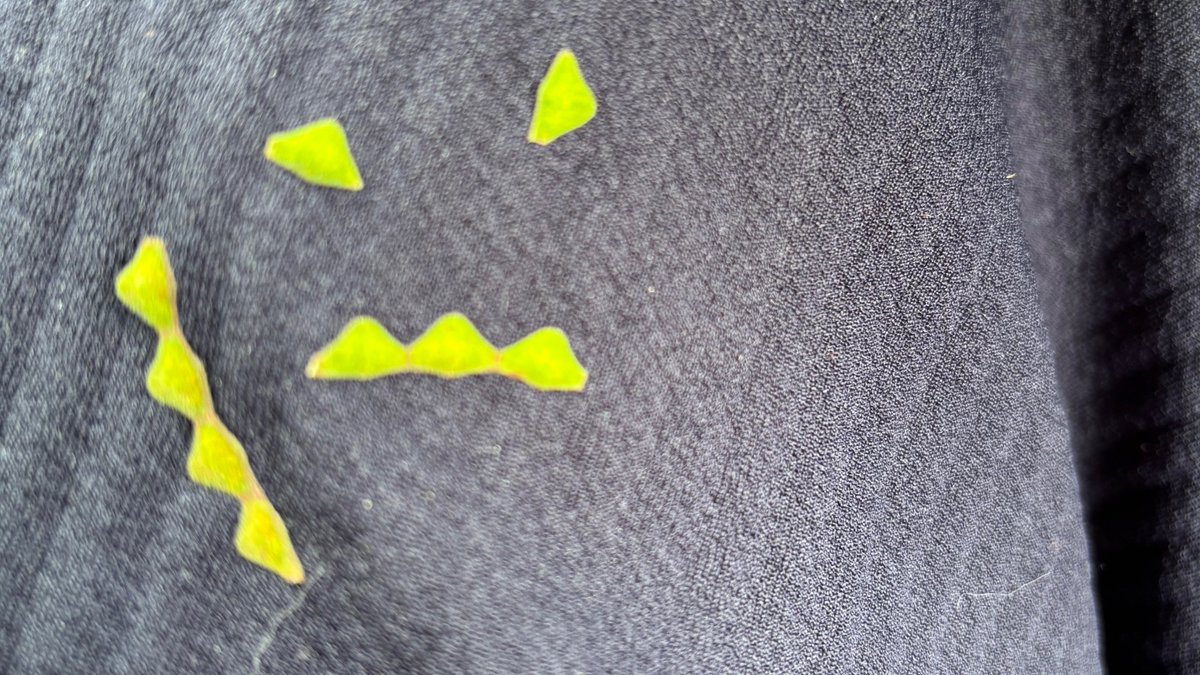 タロイモバナナページ MLJD -BC-'21WSE/E AQB-B | Deviser ｜株式会社ディバイザー