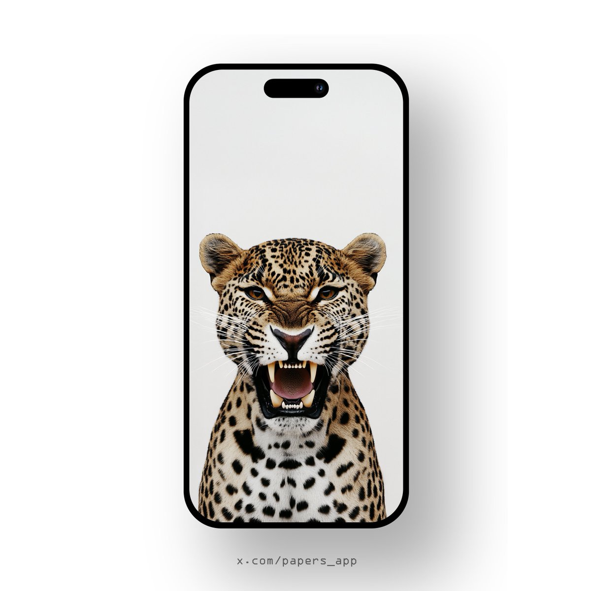 WallPapers 🔥 tweet media