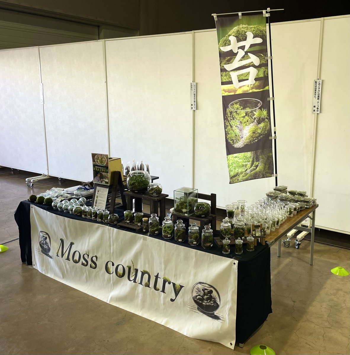 MossCountry's tweet photo. 先日はボタパラ会場にてお買い求めのお客様、主催者様、出店者の皆様。本当にありがとうございました😊
苔とテラリウム好きな方が増えているのがとても嬉しい限りですし、お客様もブースにて質問や雑談も含めてして頂けて楽しい1日でした😊✨
顔馴染みの方もお声がけいただき終始幸せな時間でした✨ https://t.co/SqpAYWcZlm