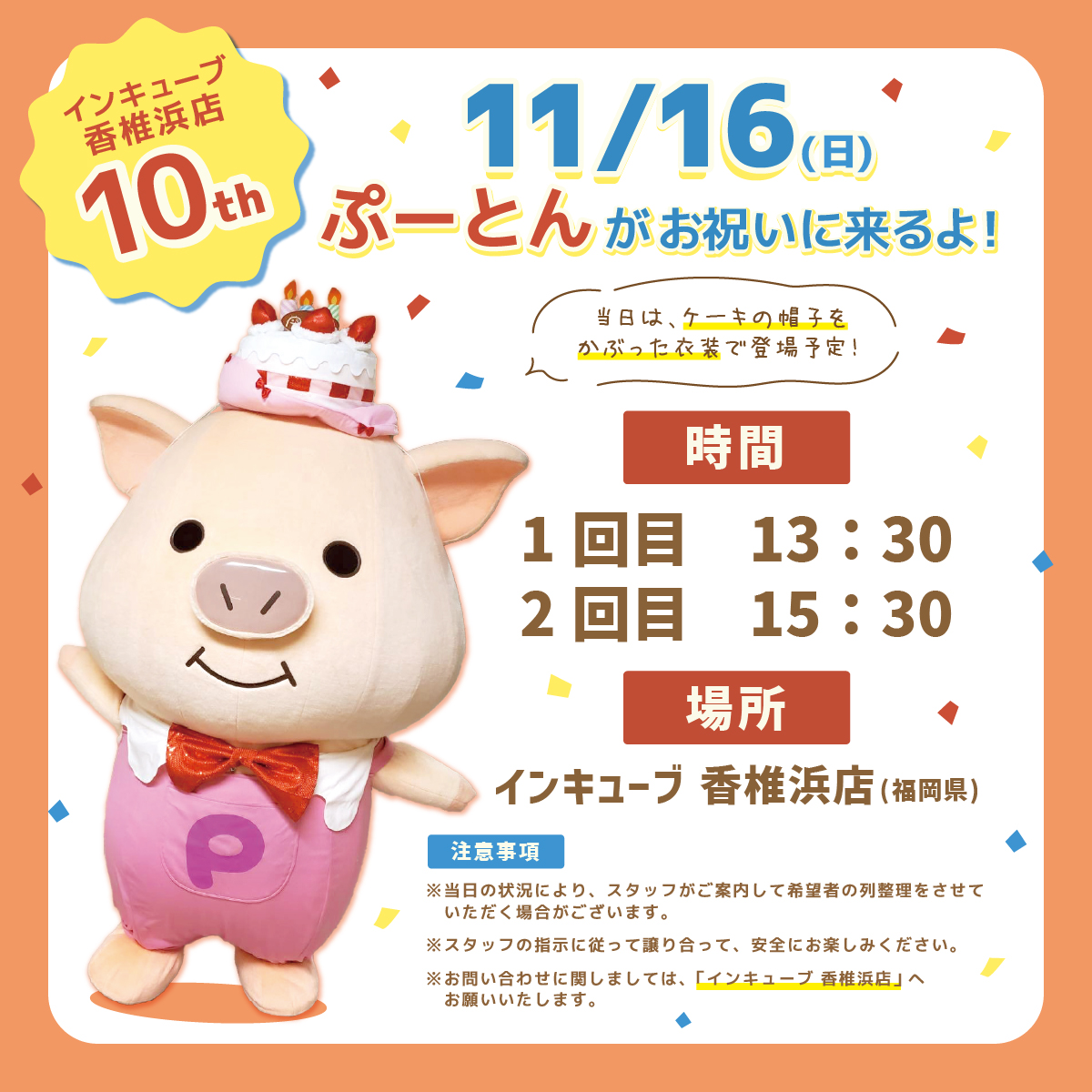 ぷーとん【公式】 (@puuton_ndi) / Posts / X