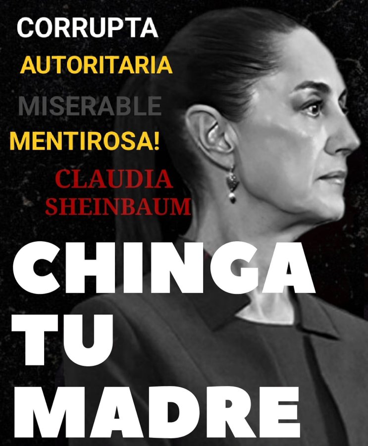 DivannyGlezza's tweet image. El México real ya no soporta más. Fuera el mal gobierno. Fuera morena, #fueranarcogobierno
