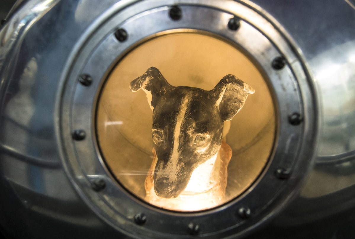 Astropartigirl's tweet image. On November 3, 1957, Laika, a sweet and beautiful stray pup from the streets of Moscow, became a pioneer in space. Aboard Sputnik 2, she made history as the first living creature to orbit Earth. But her mission had no return; it was a one way ticket.

Laika didn&apos;t choose to go.…
