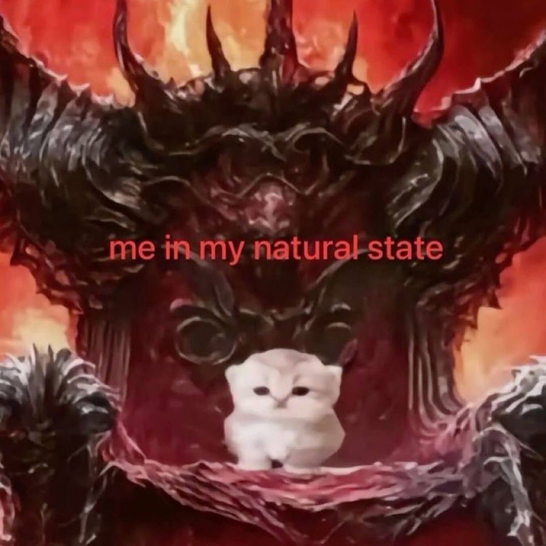 Me after being killed too many times by other raiders