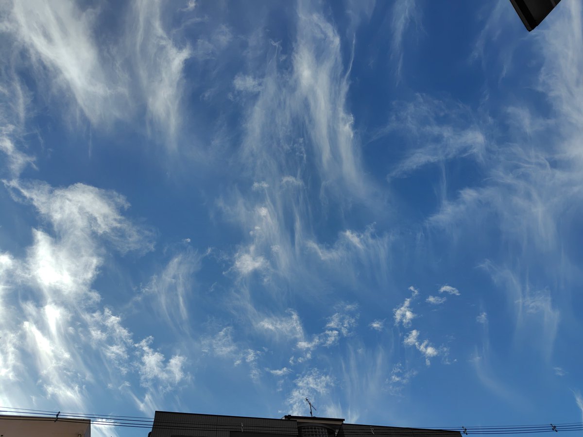 ﾐｮﾜｰｰｰﾝ☁