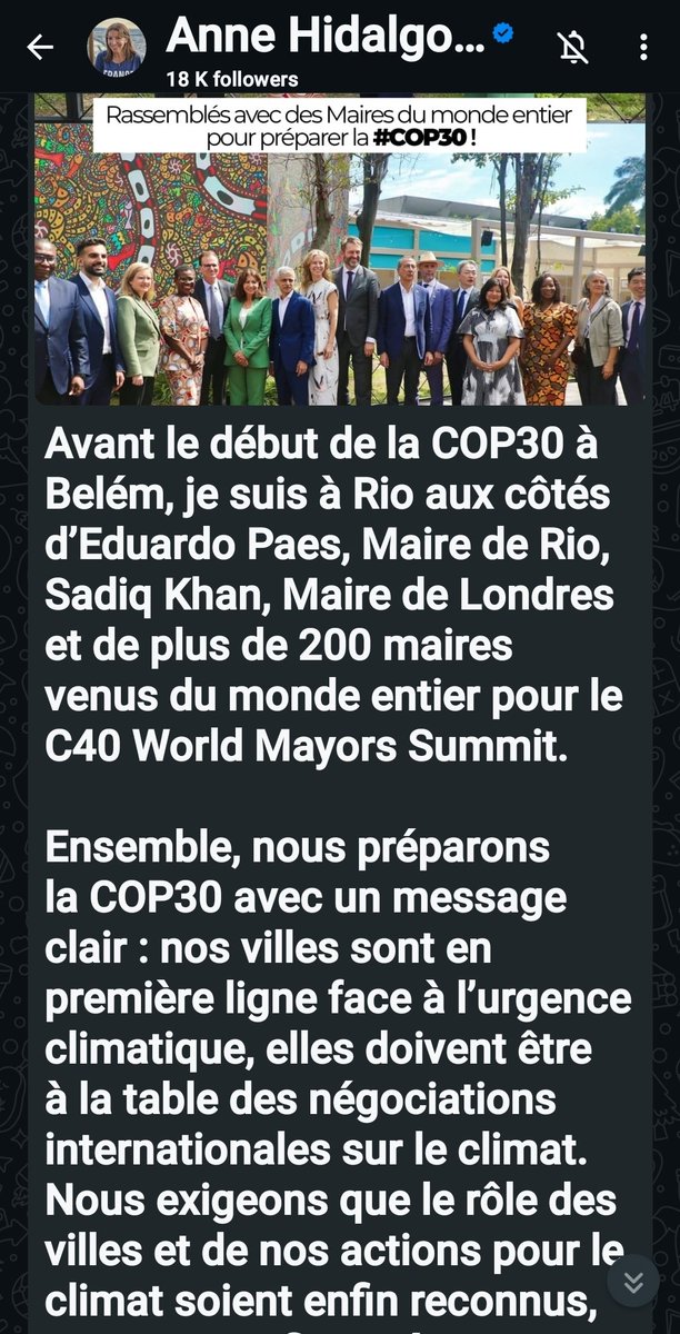 12janvier2019's tweet image. La COP 30 par visioconférence aurait été plus crédible.
#Hidalgo s&apos;y est rendu en canoë-kayak?
#faiscequejedis
#pascequejefais