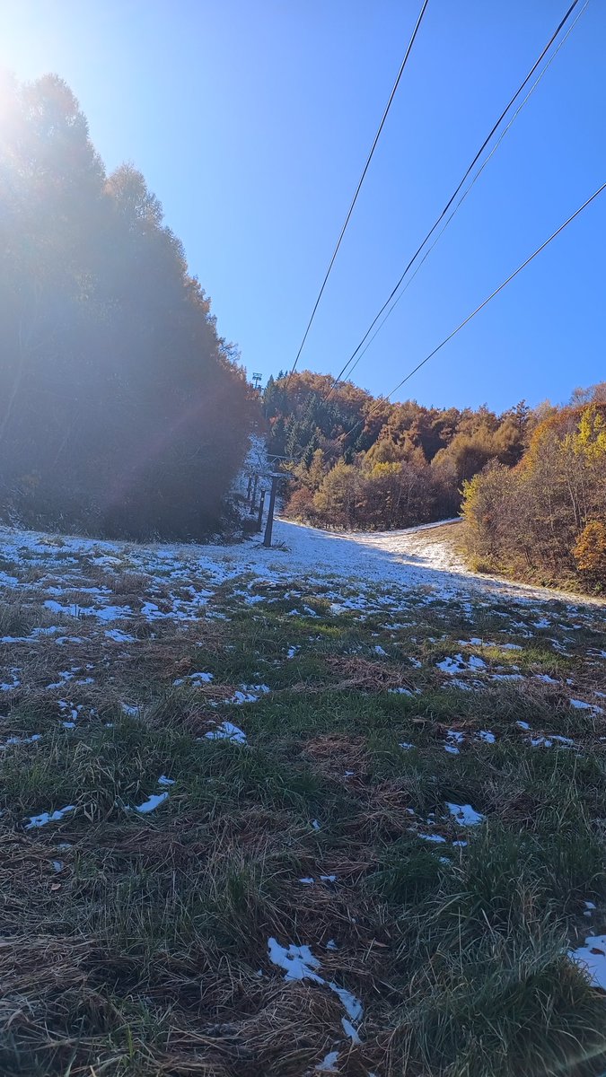RedBear_600RR's tweet photo. 裏山は雪化粧 https://t.co/EMVMIX2q4O