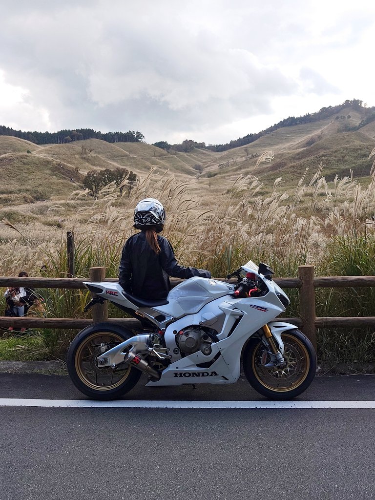 たれちゃん タレちゃん🏍 (@GaroRei) / Posts / X