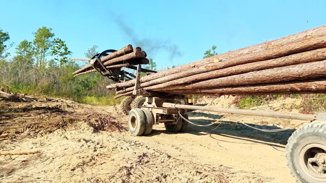 Reconocimiento del Sindicato Nacional Agropecuario a  Dos Empresas forestales del occidente por el apoyo de producción de postes eléctricos y telefónicos para la zona oriental #PorCubaJuntosCreamos
<a href="/Cuba_CTC/">Central de Trabajadores de Cuba</a>