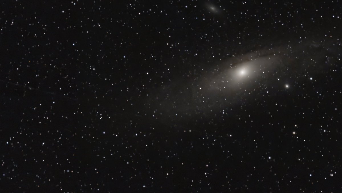 Mark Sailer tweet media