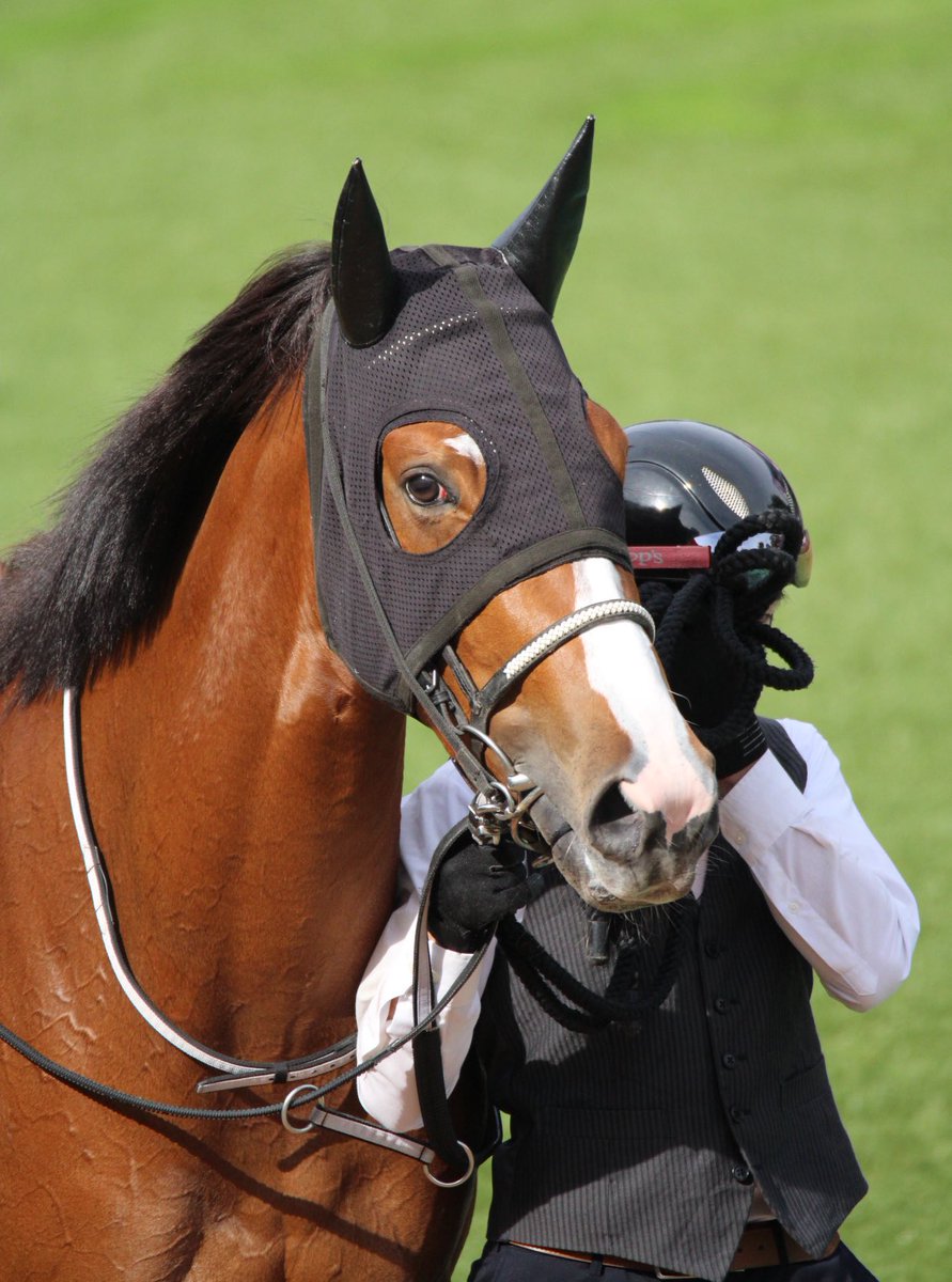 em✩.Mamaページ 送料無料】Floral Jacquard Fraise