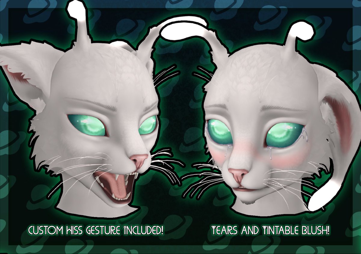 【𝕱𝖗𝖊𝖙𝖙𝖈𝖍𝖊𝖓𝕳𝖆𝖚𝖘】 tweet media