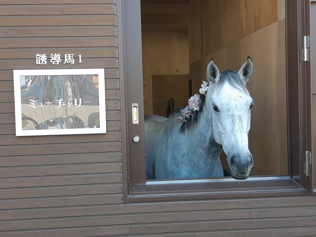 クガニ≧(｀е´)≦ (@87kugani) / Posts / X