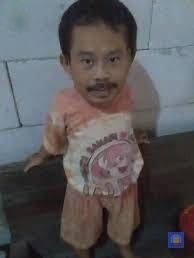 !roblox mini plushie 2d