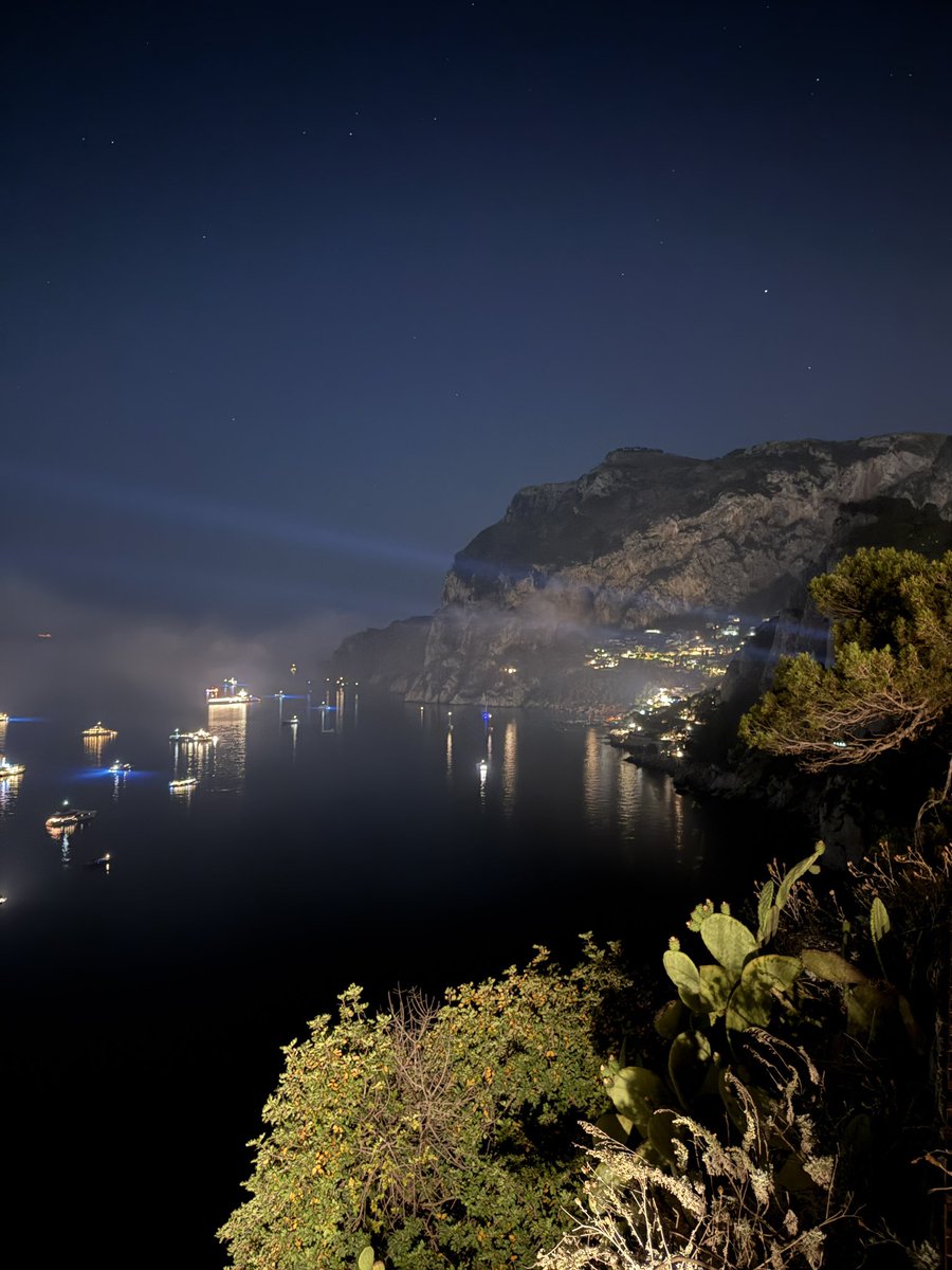 Rainer Dawn tweet media