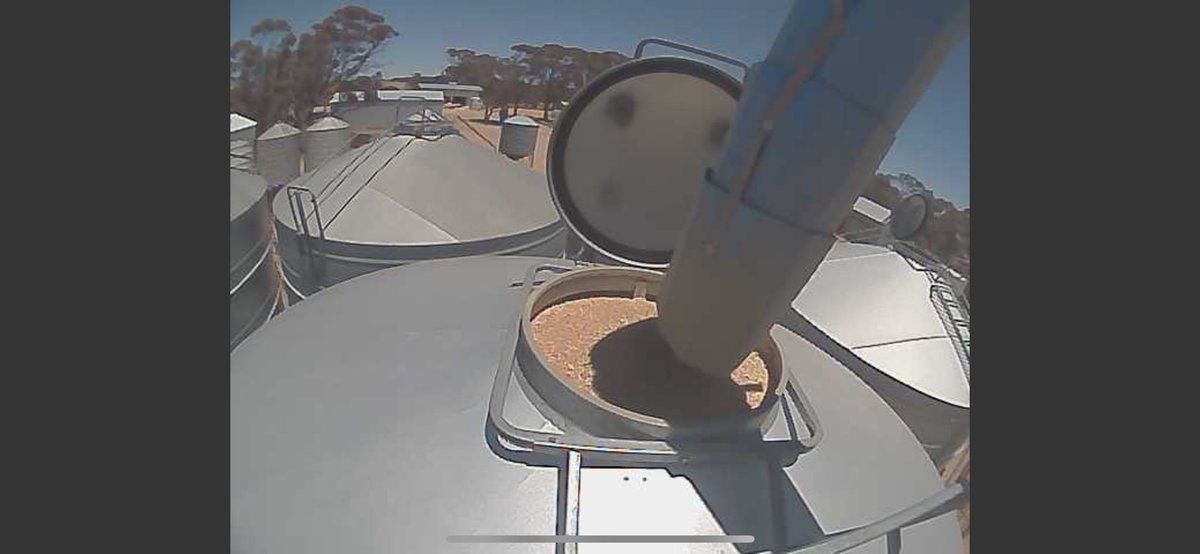 Rowan Astbury tweet media