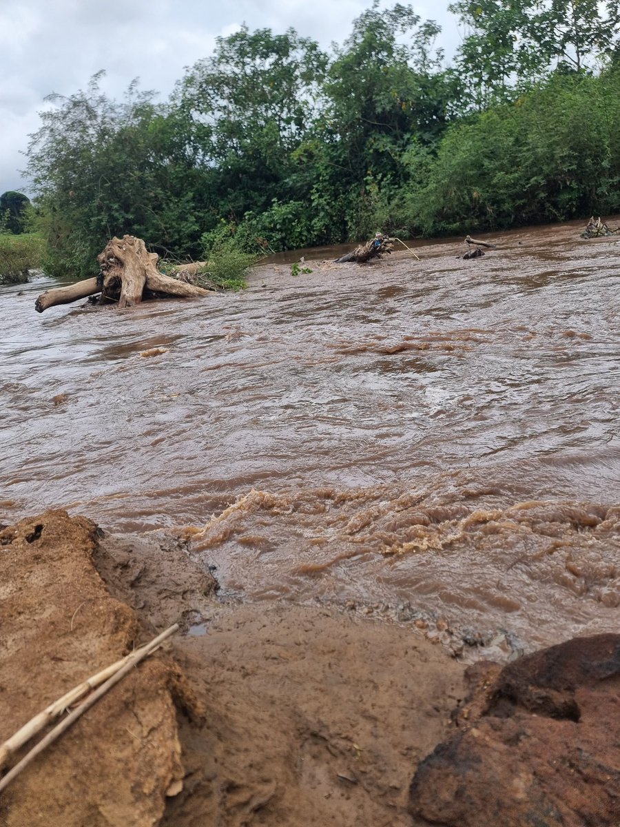 Leuyan Lepario (@leuyanlepario) on Twitter photo 