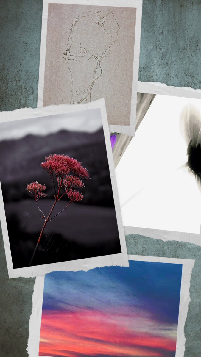 dieleserin2's tweet image. Arms
firm and exact around you,
not doing what they’re for:
warming you, holding you. 

They could clasp your shoulders
until your skin recalls
summer, salt, breath
 
that night
your heart
kept beating in my chest
as if it had never
belonged
elsewhere.

#mypoetry
#arms
#waste