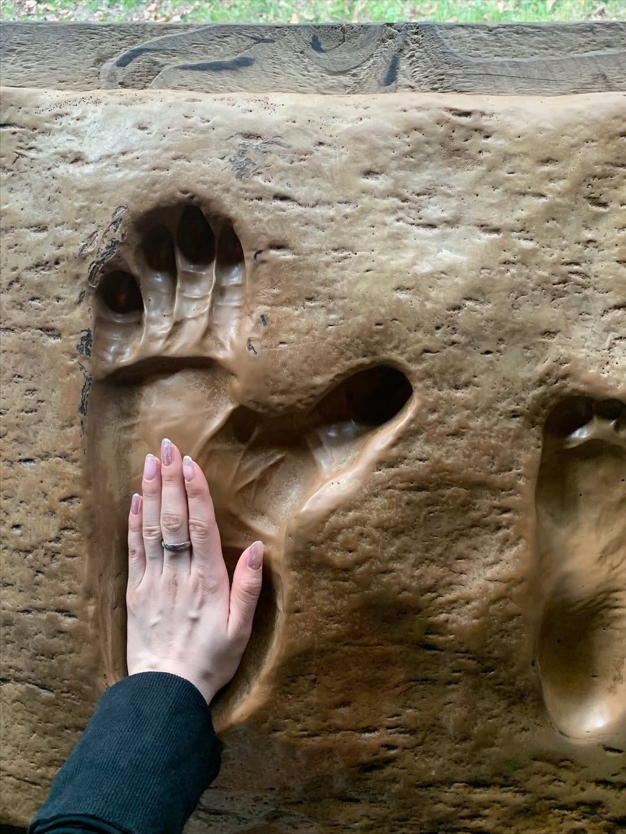 还好我老公的屌好看