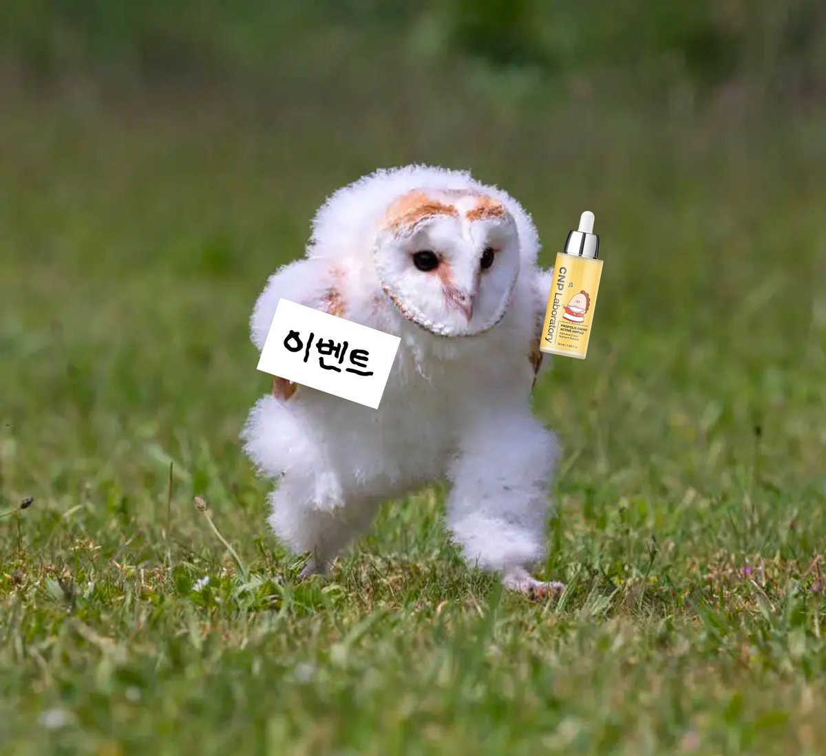 CNP_Laboratory's tweet image. 지금 계절에 진.짜 좋은데,,,
같은 프로폴리스 라인이랑 같이 쓰면 더 좋은데!!
여러분들이 알아줄 때까지 기다리는 건 너무 수동적인 것 같으니
지기가 찾아가겠어요, 이벤트 갑니다!!!