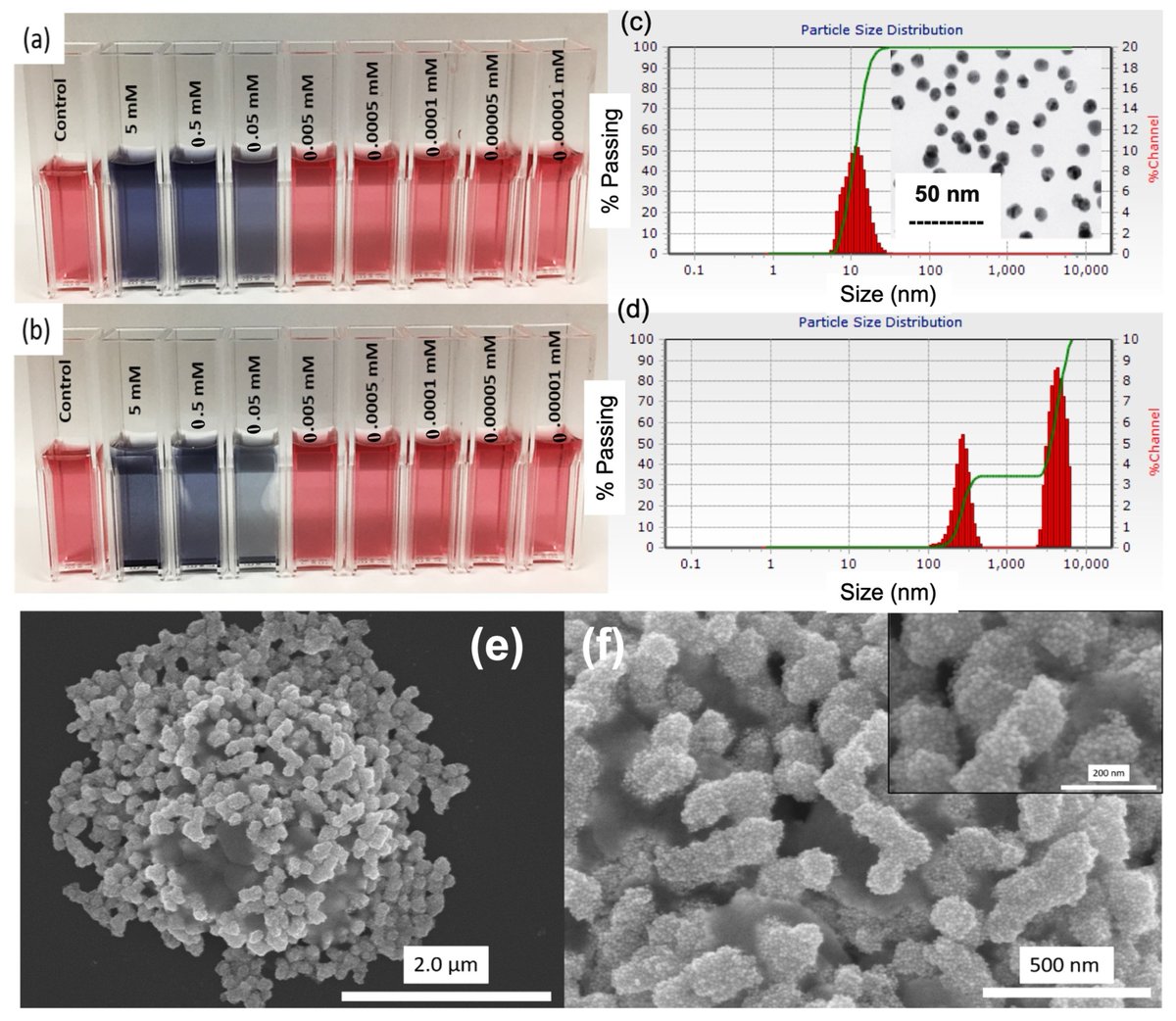 Biosensors_MDPI's tweet photo. 📣Call for Reading:
#Article
Colorimetric and Label-Free Optical Detection of Pb2+ Ions via Colloidal Gold Nanoparticles
by Jasmin Flowers, et al.
https://t.co/uG2yY5XC8C
#colorimetric #LabelFree #Pb #AuNPs
#biosensors #mdpi #openaccess https://t.co/NbqBh1aEk9