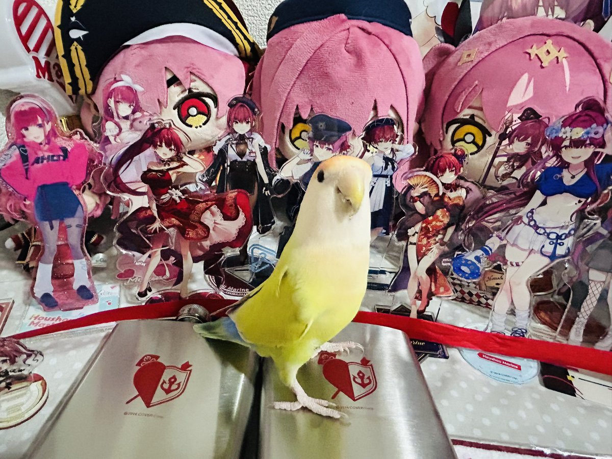 お米ネキ tweet media