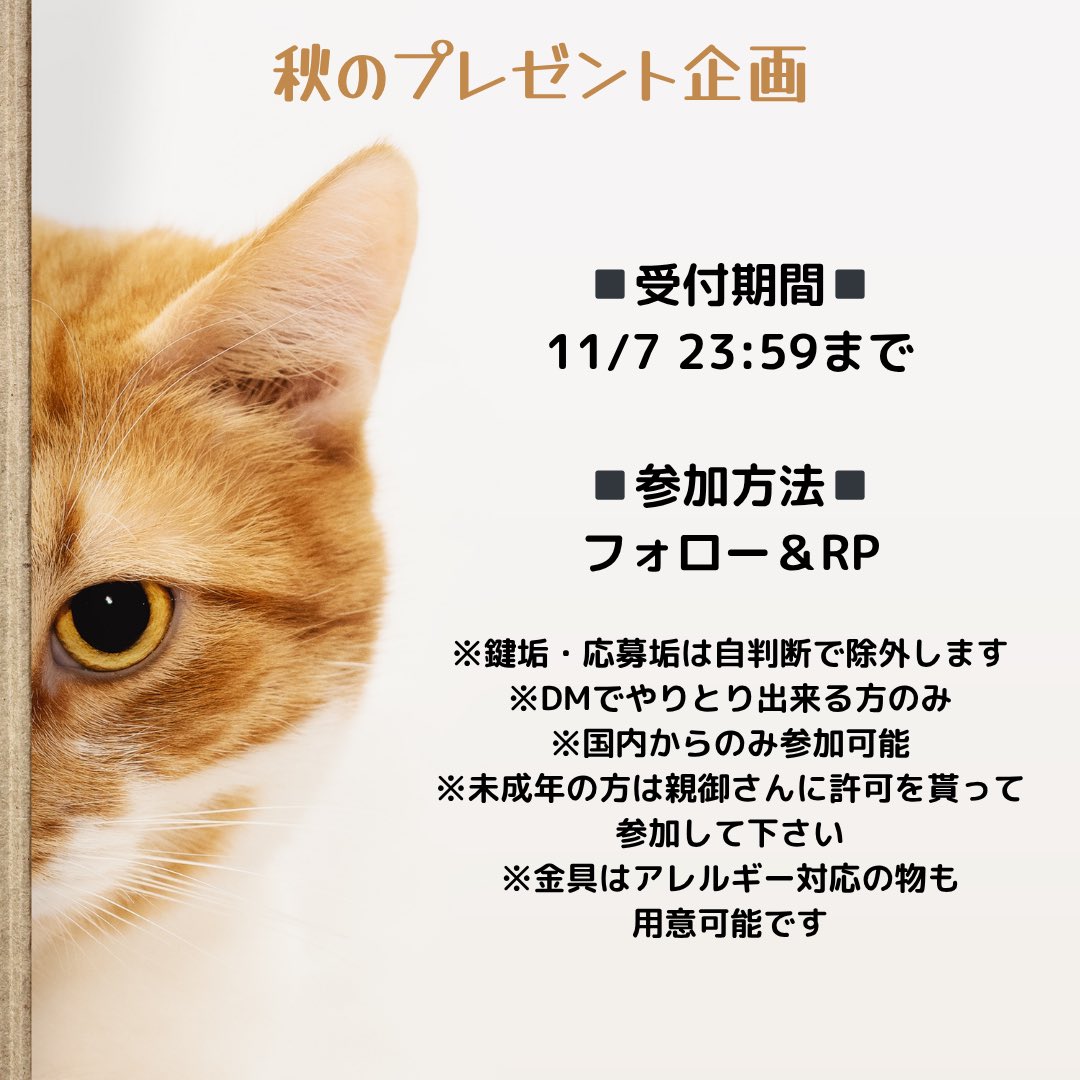 鈴猫屋@5/30 20時~ 受注生産会 tweet media